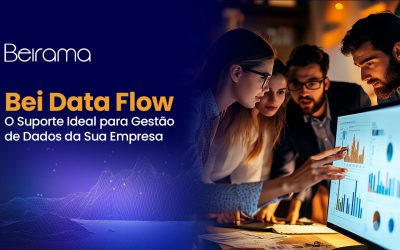 Bei Data Flow: O Suporte Ideal para a Gestão de Dados da Sua Empresa